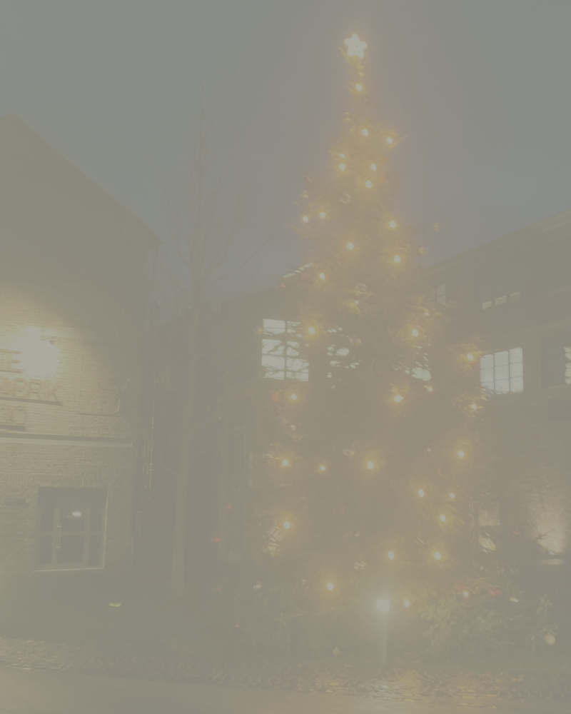 Weihnachtsbaum
