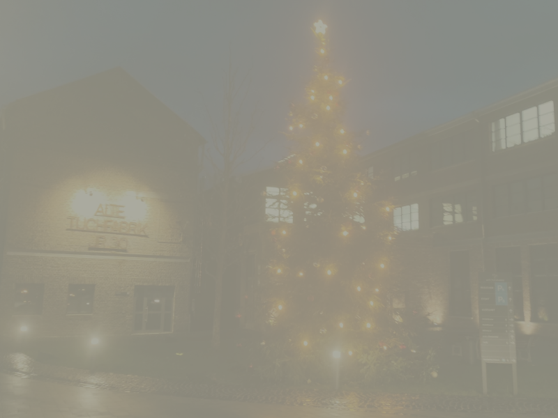 Weihnachtsbaum